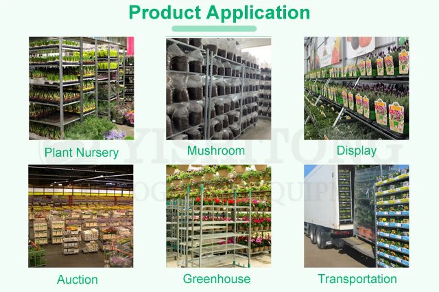 application application