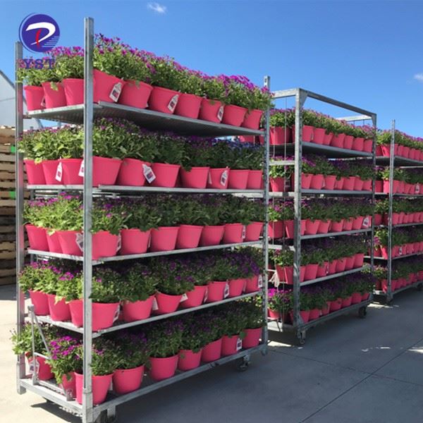 Dutch Carts For Plants