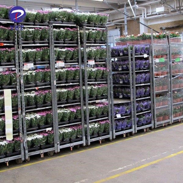Greenhouse Dutch Cart