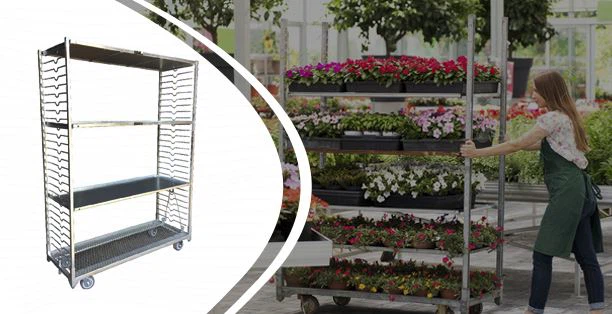 รถเข็นเรือนกระจก