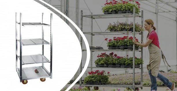 รถเข็นเด็ก