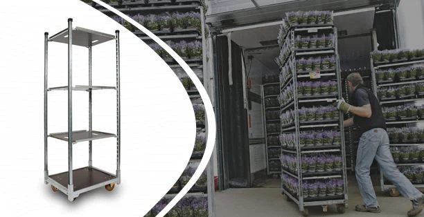 รถเข็นดัตช์