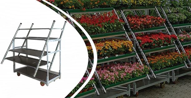 รถเข็นดอกไม้