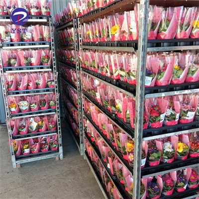 รถเข็นชั้นวางของสำหรับใช้ในสถานรับเลี้ยงเด็ก