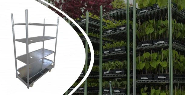 รถเข็นเดนมาร์ก