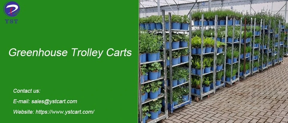Greenhouse Trolley Carts-9