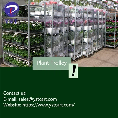 เหตุใดจึงเลือก Plant Trolley สำหรับความต้องการในการจัดเก็บเรือนกระจก